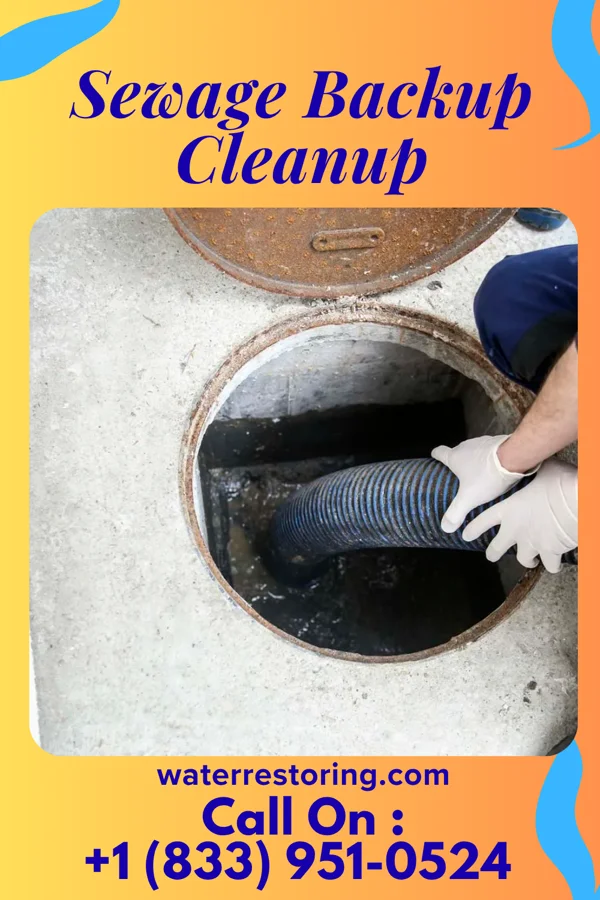 Sewage Backup Cleanup in Bluffton, IN